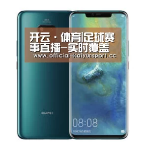华为无线快充手机